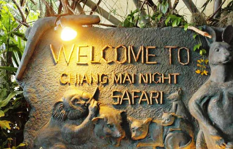 Chiangmai Night Safari Resort Чіангмай Екстер'єр фото